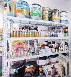 專(zhuān)業(yè)代理，創(chuàng)意設(shè)計(jì)——森煌寵物用品有限公司，您的最佳商業(yè)伙伴